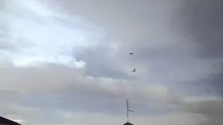 андижанские игровые.