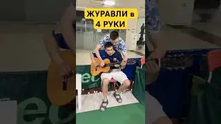 Журавли в 4 руки на гитаре #гитарист #гитара #гитаристы