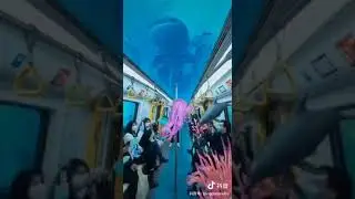The Wonderful Celebration of Qingdao China Subway's Ten-Year Anniversary