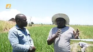 MZEE NDINGO: ''Siasa Ilinikondesha Niliingia  Madeni  Makubwa Benki, Kilimo Kinanipa Utajiri''