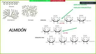 Nutri Day (Parte 3)