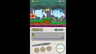 NSMB DS custom Level  