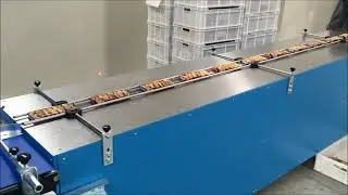 CTS-400 İncir Paketleme / Fig Packaging