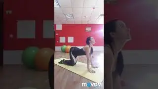Утренняя гимнастика для начинающих с Еленой Посенко ( ЧАСТЬ 2)
