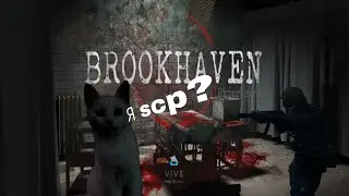 #7 КОТ АГЕНТ!  меня признали scp!