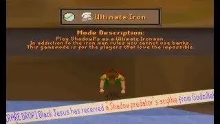 CUSTOM RSPS! ShadowPS #1 Ultimate Ironman Series! [Ep 1 of many!] THE GRIND BOYS