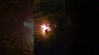 Pyromaniacs Burn Stuffed Animal