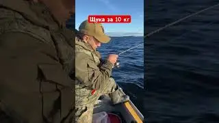 Руки трясутся, нервы на пределе 
