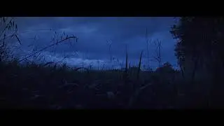 this feeling of rain in the countryside