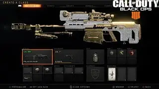 BO4 BEST SNIPER CLASS SETUP (PALADIN HB50)