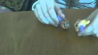 lps;любовь или слёзы 1 сезон 2 серия