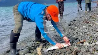 Snagging in Seward Alaska | The next Day
