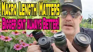 How Focal Length Matters in Macro Photography | 30mm vs 60mm vs 90mm Compared