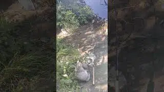 Ну что, 