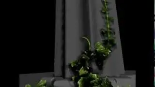 Growing Vines Animation