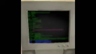 РАЗДАЧА ПЕТОВ И ГЕМОВ В PSX!!!!