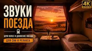 Звуки поезда для сна 🚂 Стук колёс и шум движения ASMR | 8 часов глубокого сна и релакса