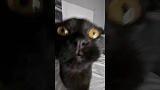 Beware of the Void