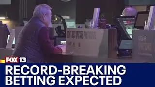 Record-breaking betting expected this NFL season | FOX 13 Seattle