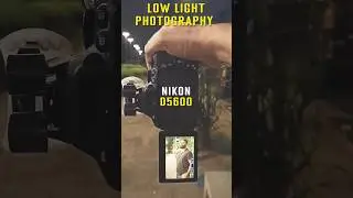 Nikon D5600 low light photography 