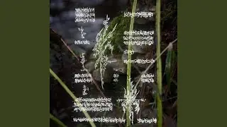 biogeochemicᵃ | *model.0f:milankovitch cYcles//press--ᐳStart2begin (s) imulation ..