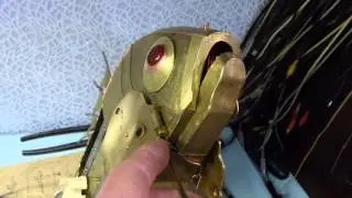 Рыба открывает рот