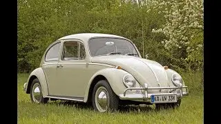 Volkswagen Beetle : Car of Know