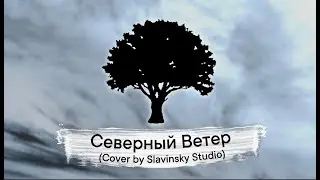 Северный ветер - (Video cover by Slavinsky Studio)