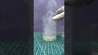 Amazing Science Experiment with Ammonia and Hydrochloric Acid #shorts
