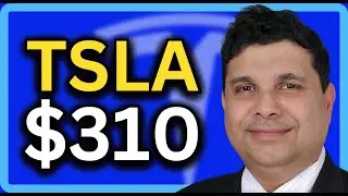 TESLA Stock: Top Wall Street Analyst Screams BUY