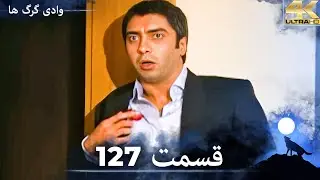 وادی گرگ ها | 127. قسمت را تماشا کنید (Farsi Dubbed)