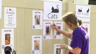 Clear the Shelters adoption event tomorrow