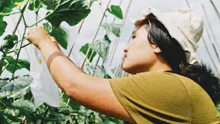 A Day on Lo Lai Lai’s Farm