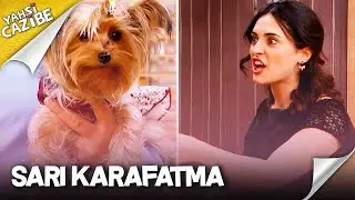 Bu it bu evde kalabilemez, NÖQTƏ! - Yahşi Cazibe 26. Bölüm