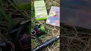 БЛЕСНА УБИЙЦА. Уловистая безымянная блесна.Рыбалка👍👍👍 #fishing #рыбалка #shorts #fish