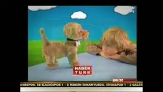 Reklam kuşağı/Tek reklam kuşağı/Program tanıtımı ▶️ HABERTURK Tarih: 08.12.2012