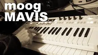 Hypnotic Loops 5 (cover) / Moog MAVIS