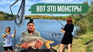 Как словить толстолоба и карпа.Рыбалка в Крыму.Озеро Алибай 2024