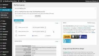 All in One SEO Pack: Performance Options