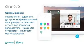 Guideline- Будни Франциски. Серия 5: Охранялка