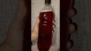 Пиво в домашних условиях, отправляю на созревание