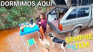 Dividimos toda nossa comida com uma Cachorrinha faminta