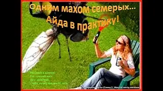 Одним махом семерых... Приглашение в практику.