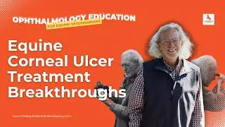 Equine Corneal Ulcer Treatment Breakthroughs