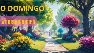 Curiosidades sobre o dia de Domingo