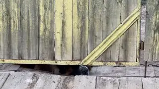 Верёвочный парк для пожилых