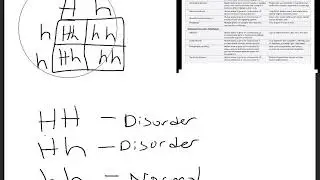 Lecture 15 Quiz Review