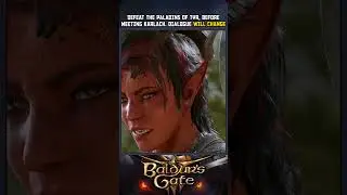 Defeat the paladins before meeting karlach the dialogue will change | Baldurs Gate 3