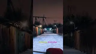Паша техник 