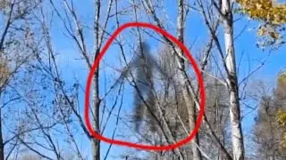 Shocking Scary Ghost Footage 12-3-2015
